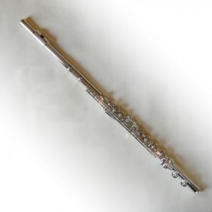 Altus 1007 E Silberrohr