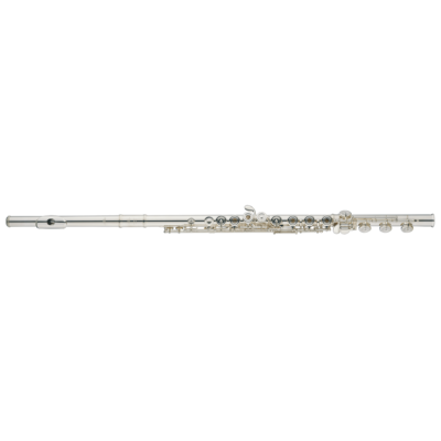 Altus   907 ERZ Silberkopf (925)