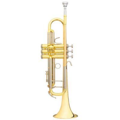 B&S Challenger I Modell 3137 G-L