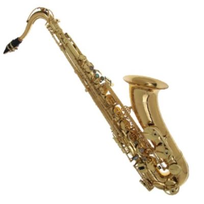 Expression Tenor Sax. XP-2 Master