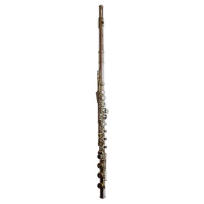 Sankyo CF-401 RCEH Vollsilber RT1