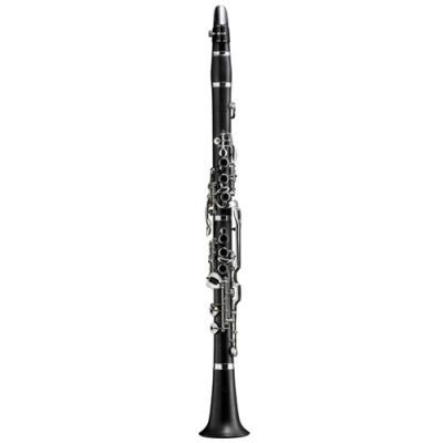 Schreiber D 13