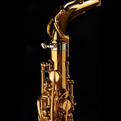 Selmer SUPREME Alt Sax.