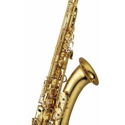 Yanagisawa T – 991 gebraucht