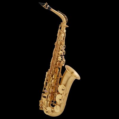 Selmer SA 80 II Alt Sax. matt