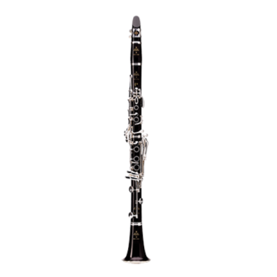Buffet Crampon  E 13 18/6 mit Gigbag